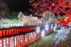 20221126_Trail of LIghts