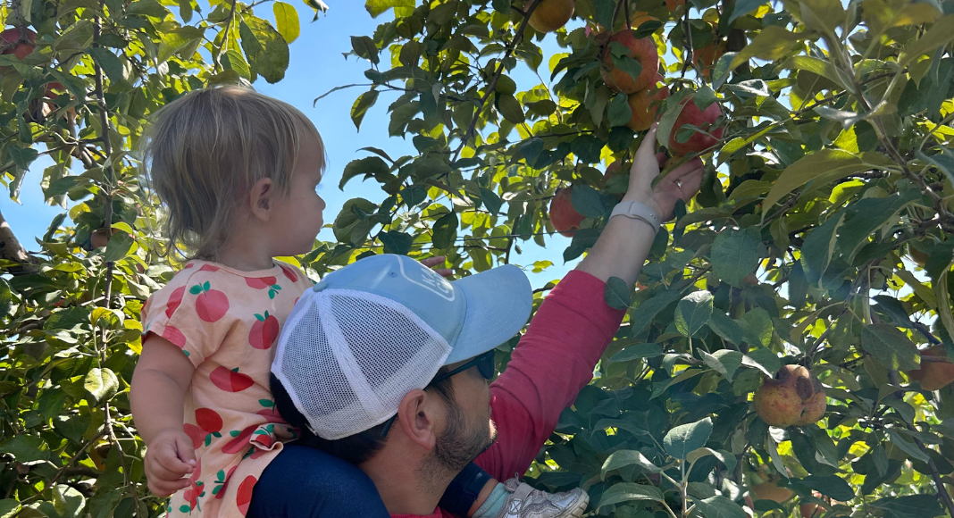 Where to Pick Apples in the Denver Area