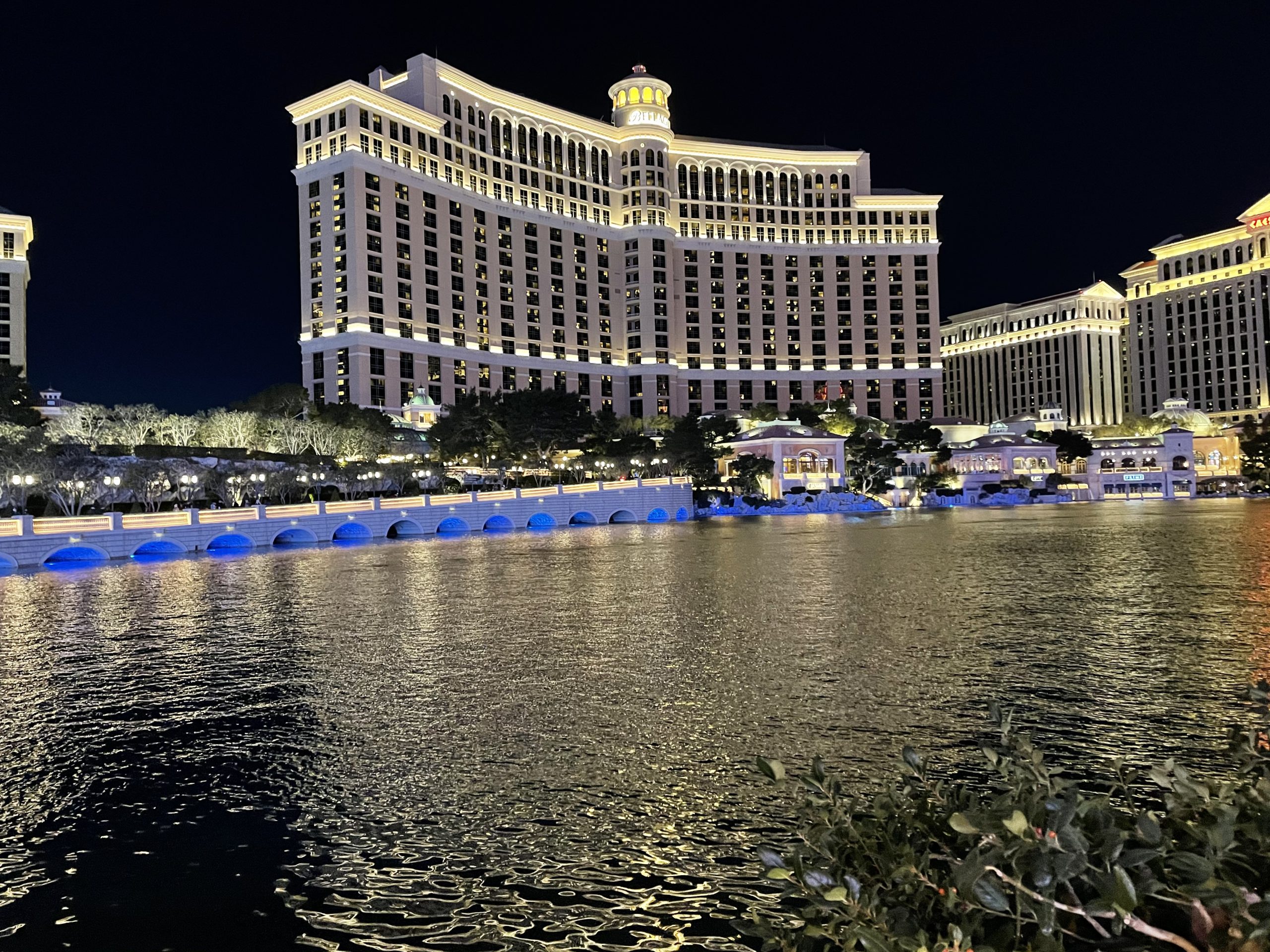 A Guide to Las Vegas with Kids