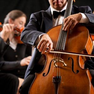 A close-up of a musician playing the cello during a symphony performance.