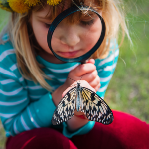 A young girl studies a butterfly up close through a magnifying glass.