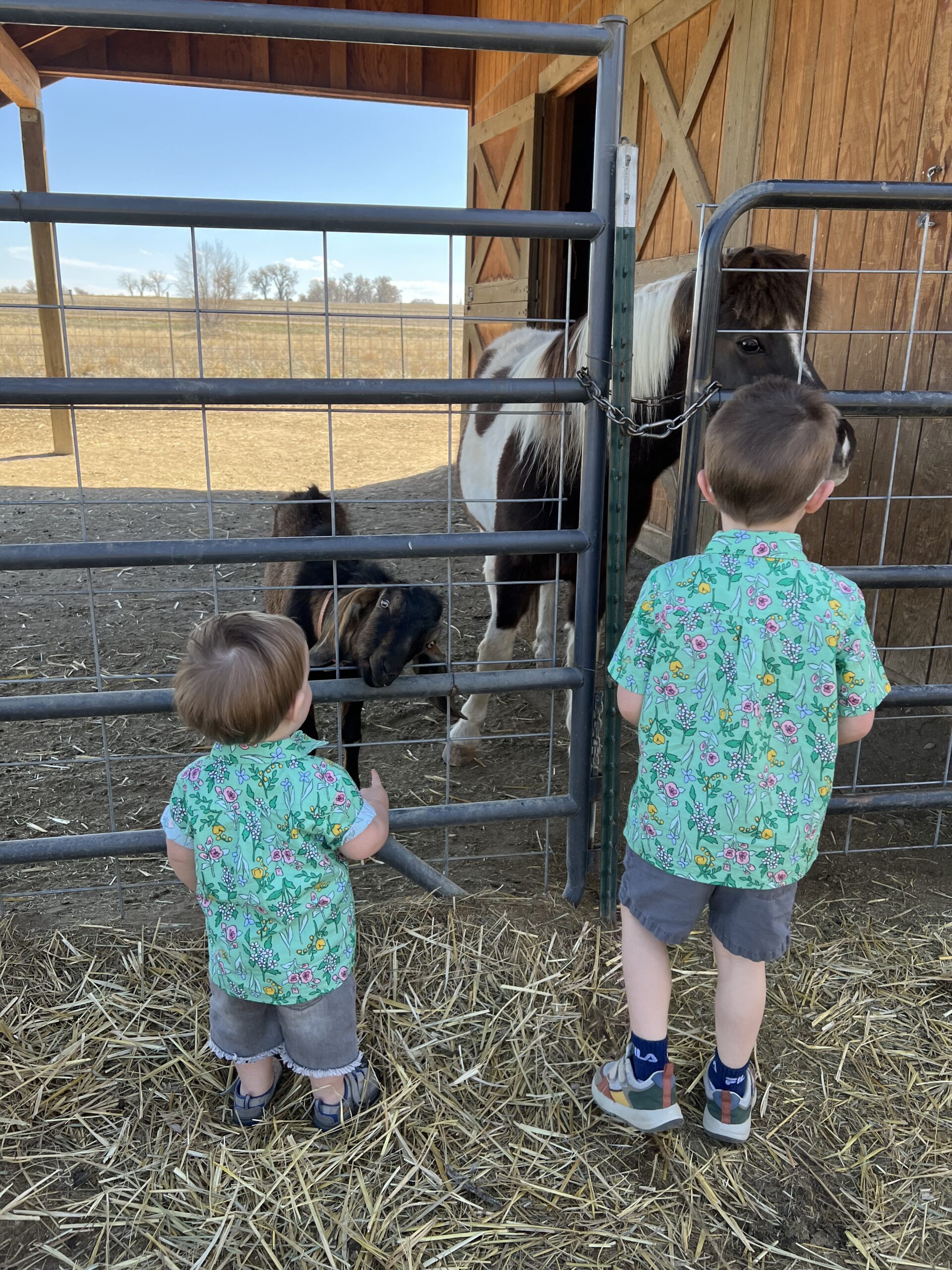 IMG_0639 kids with farm animals