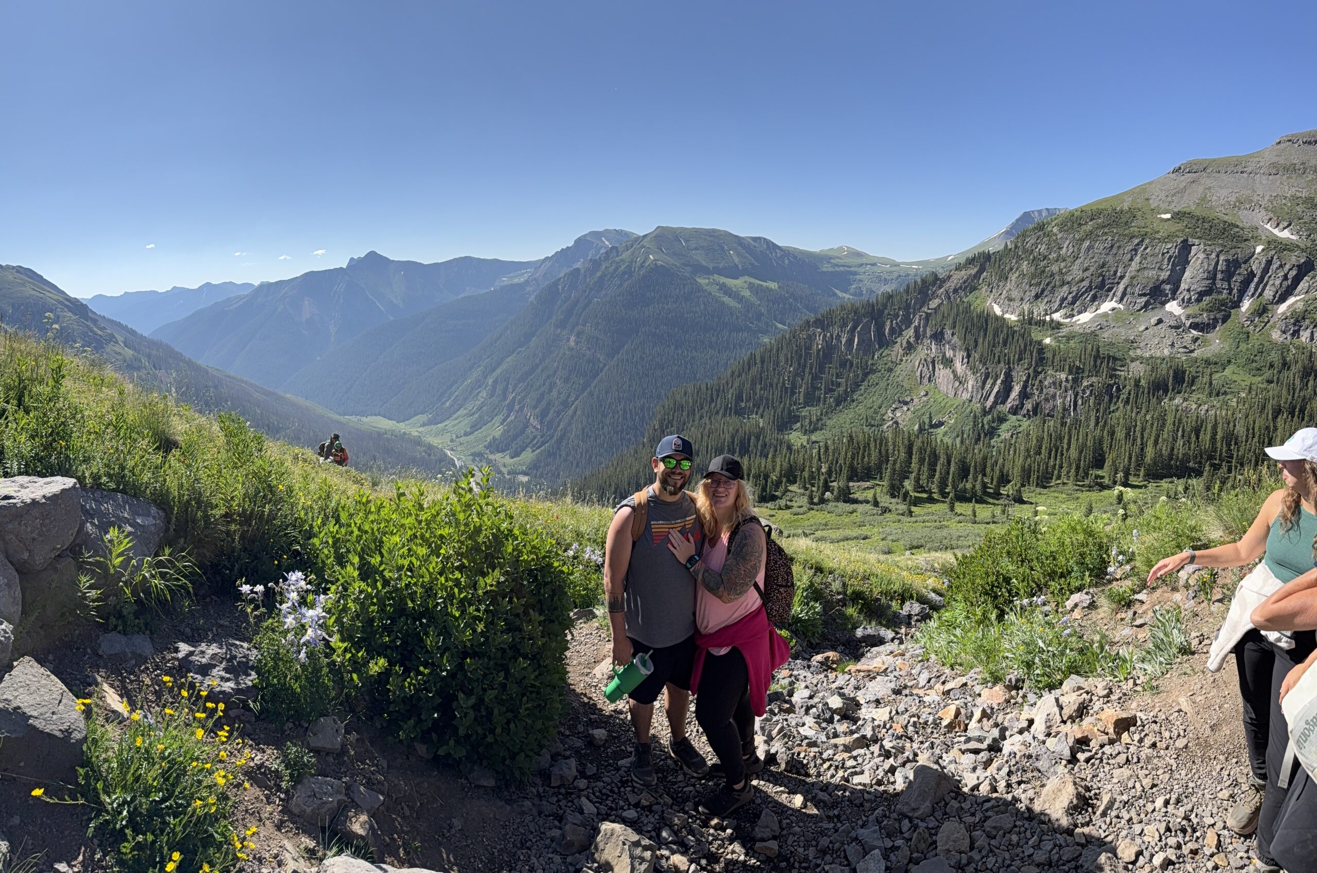 Guide to Wildflower Spotting in Colorado